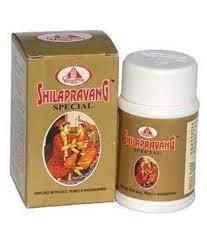 SHILAPRAVANG 30T